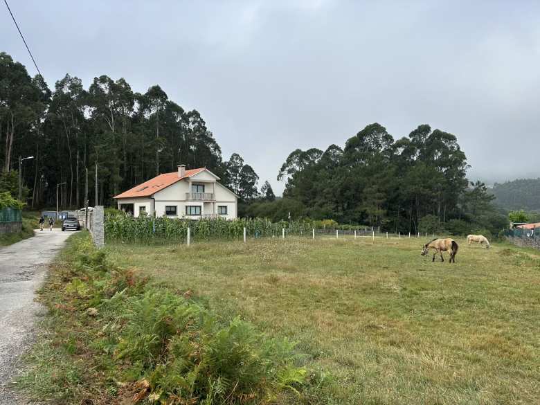 Walking by some grazing horses along the Spiritual Variant.