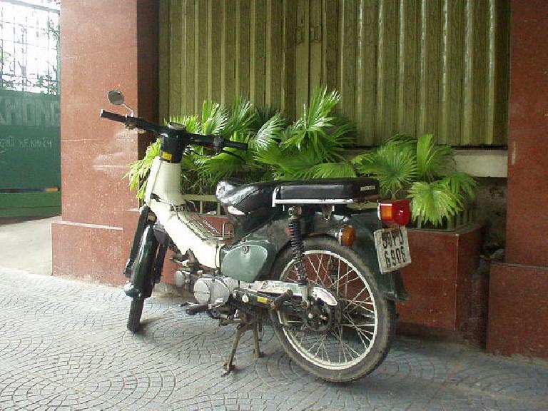 The classic Honda Super Cub.