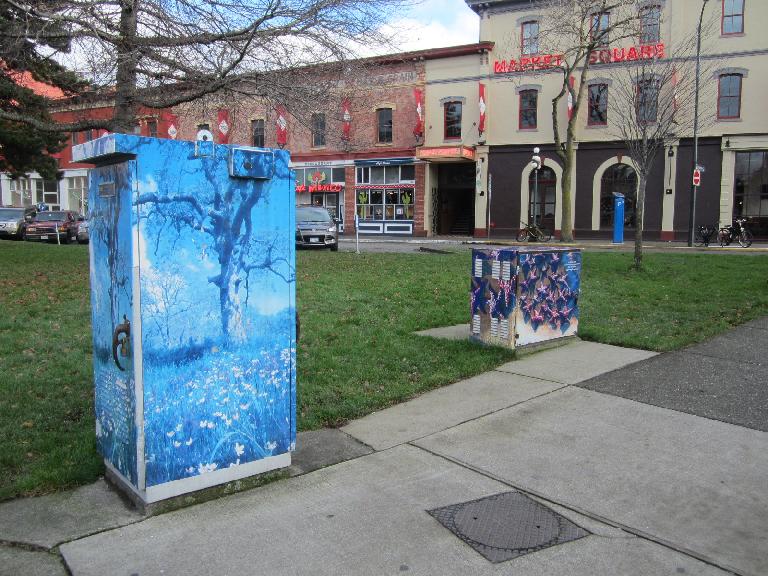 The City of Victoria does the same thing Fort Collins does: have artists paint the utility boxes to discourage vandalism.