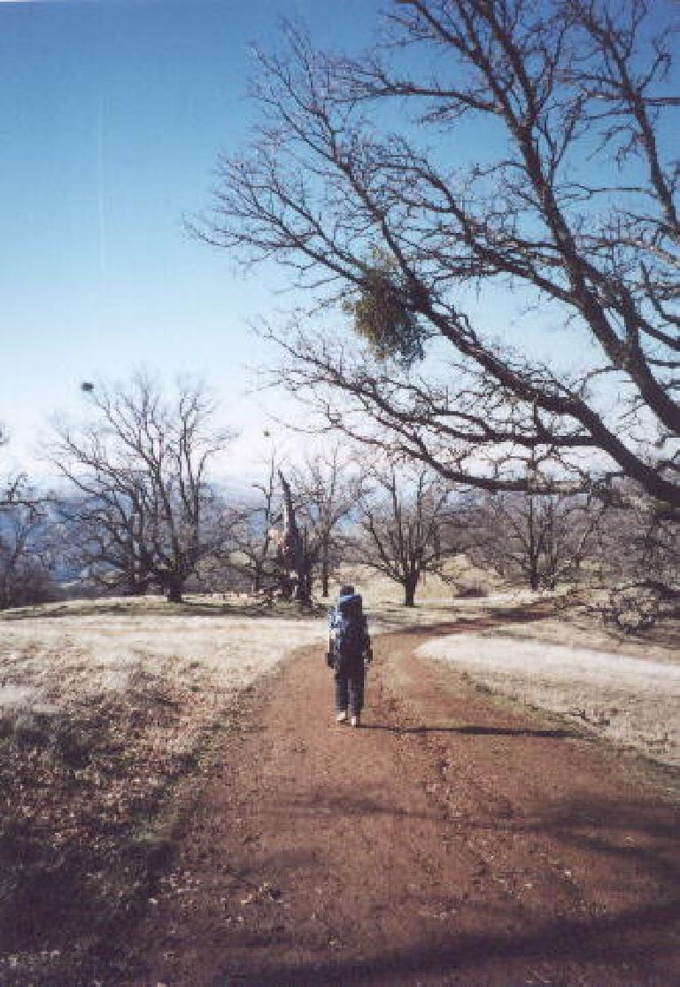[Ohlone Wilderness Trail, Jan 2002] Hiking to Murietta Falls from camp the next day, which turned out to be much warmer and sunnier!