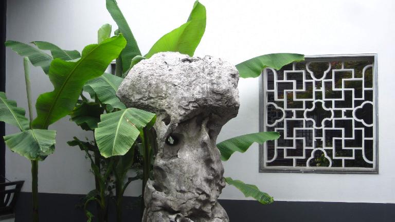 Plant, rock and window at Xue Family Garden.