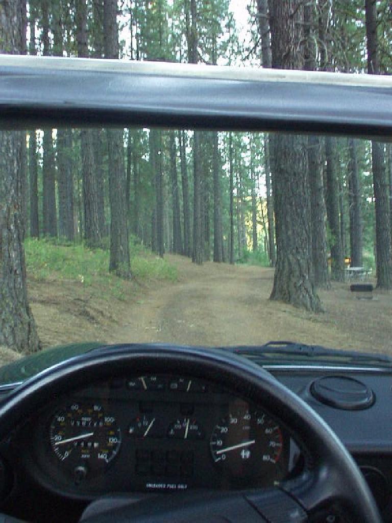 On the way to Yakima, WA, I camped overnight at Brooks Memorial State Park in the Simcoe Mountains, which was beautiful with acres of lodgepole pine.