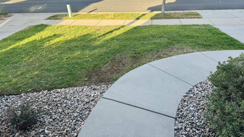 The front lawn was already looking a whole lot better only 16 days after I had sprinkled down the Scotts ezseed Patch & Repair.